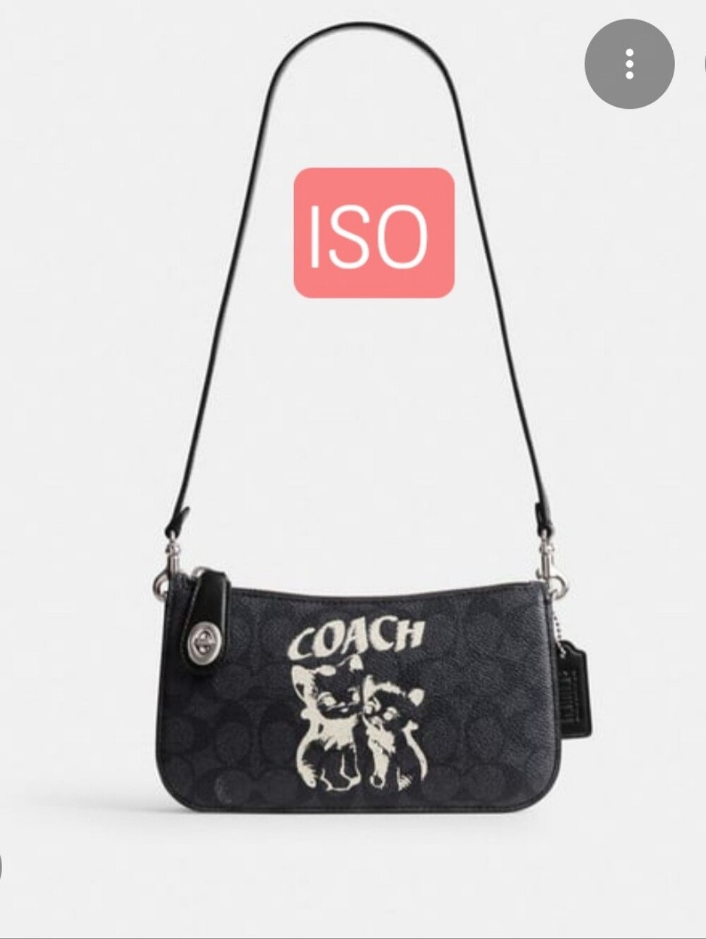 ISO Coach Penn Cat